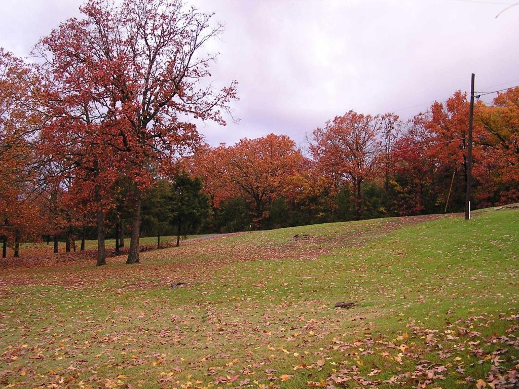 Mill Creek On Table Rock Lampe